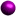 purple dot link